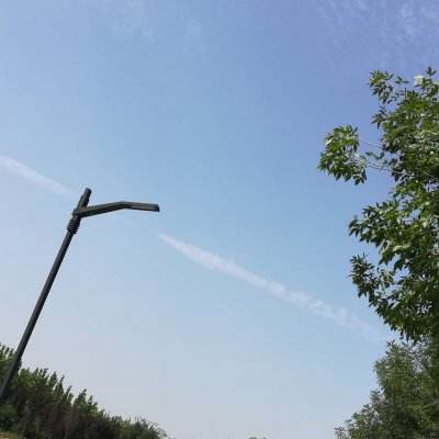 武龙争道ol手游下载